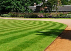 Grass Lawncare