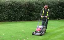 Lawn Maintenance